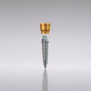 LODI Mini-Implantat, Ø 2.4, L10, GH 2.5